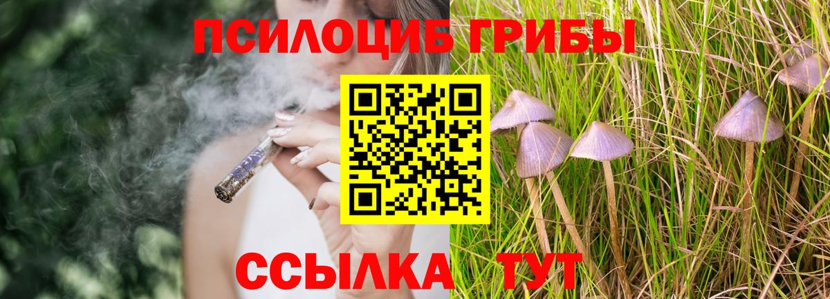 Чайковский  Галлюциногенные грибы GOLDEN TEACHER  Галлюциногенные грибы MAGIC MUSHROOMS  где продают   Вход с VPN 